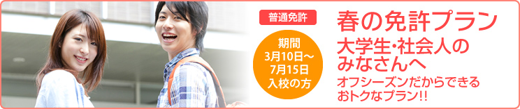 春の免許プラン